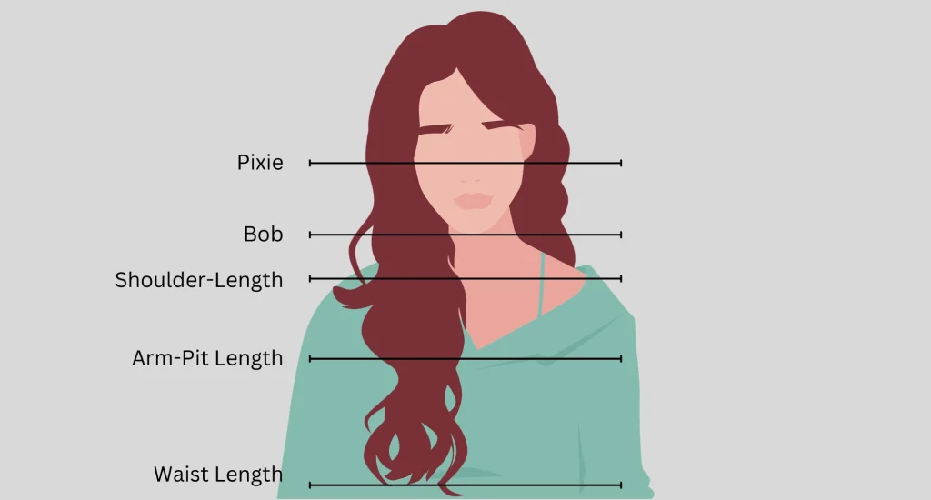 Infographic illustration diagram showing different hair length levels from pixie and bob to shoulder, armpit, and waist length.